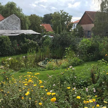 Schoene Gemuetliche Ferienwohnung Mit Kamin I Im Harz Darlingerode ภายนอก รูปภาพ