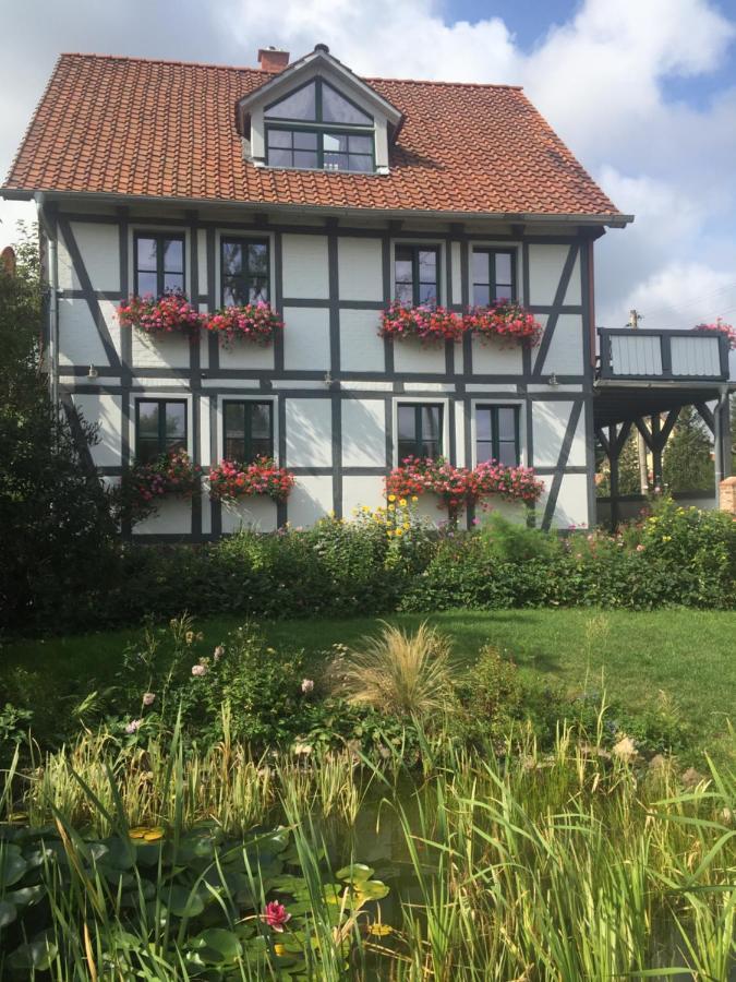 Schoene Gemuetliche Ferienwohnung Mit Kamin I Im Harz Darlingerode ภายนอก รูปภาพ