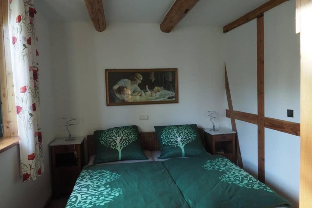 Schoene Gemuetliche Ferienwohnung Mit Kamin I Im Harz Darlingerode ภายนอก รูปภาพ